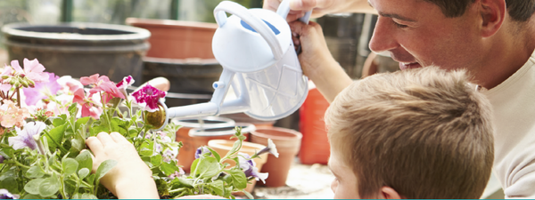 Spring Yard Cleaning Tips