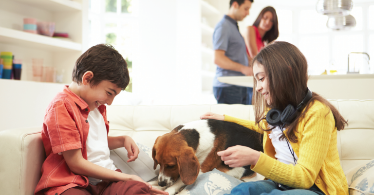 Homebuying 101: Debt-to-Income (DTI)