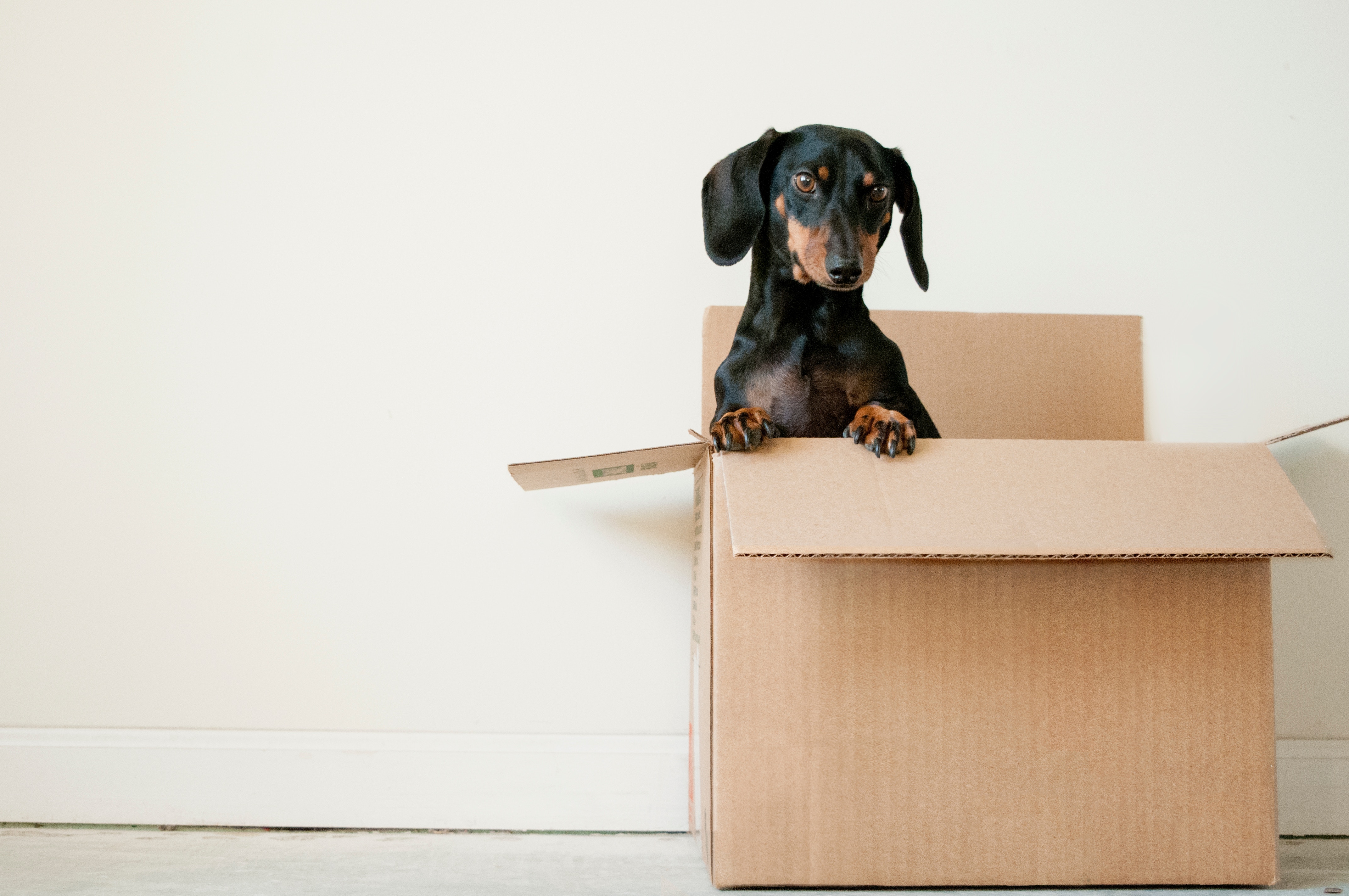 Tips on Organizing Your Move