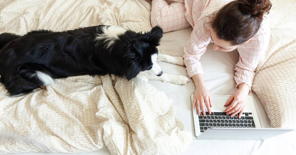 My Loan Evergreen Home Loans